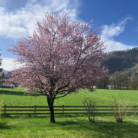 Open Garden Mountain Lodge Oberaudorf Exteriér fotografie