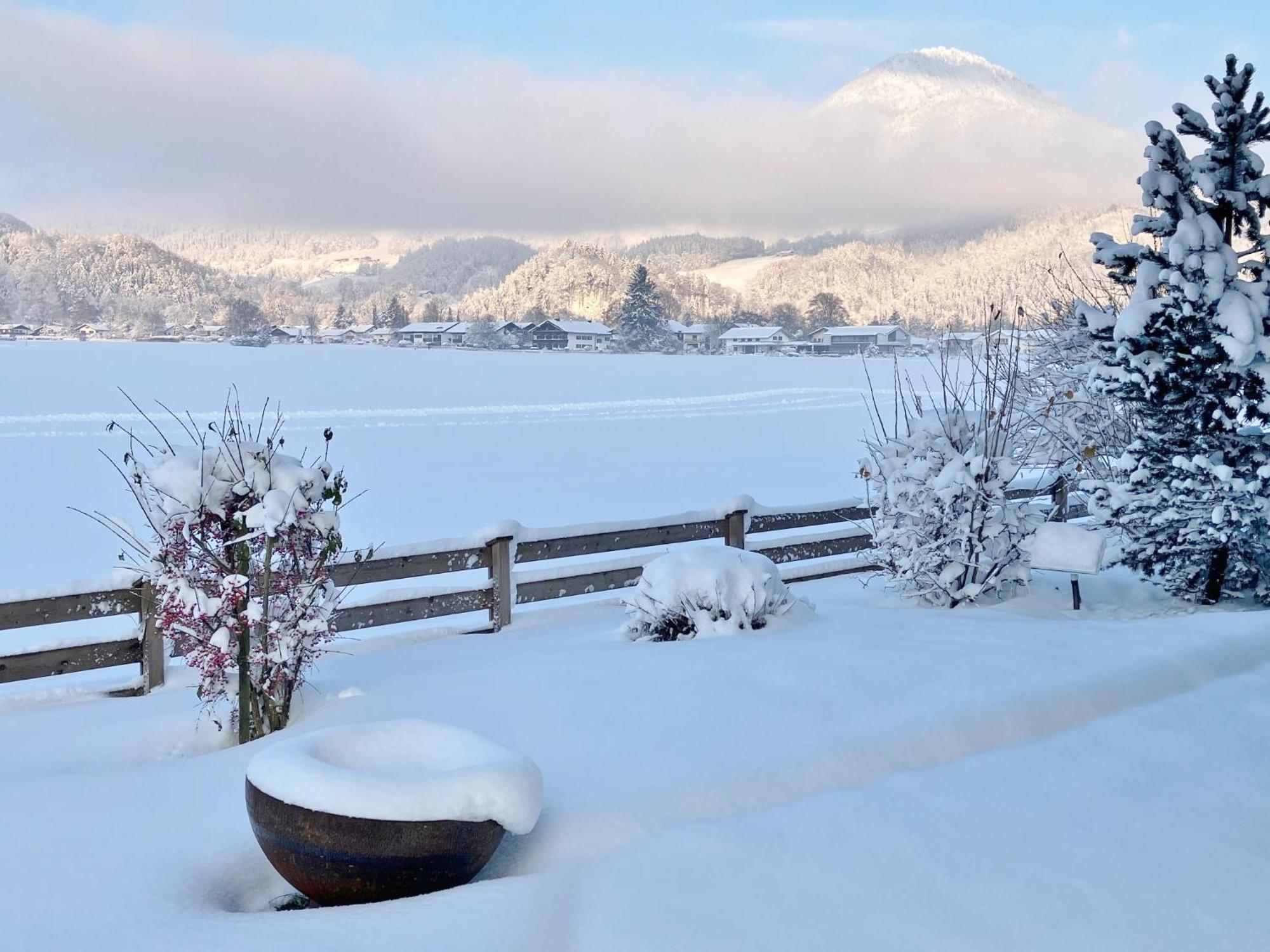 Open Garden Mountain Lodge Oberaudorf Exteriér fotografie
