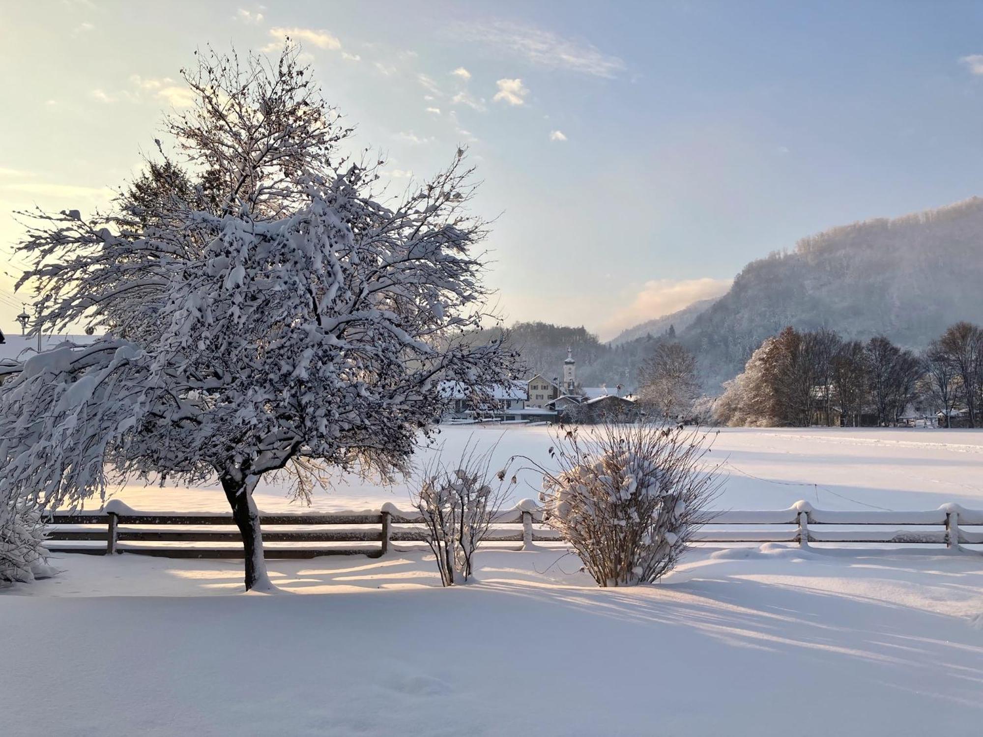 Open Garden Mountain Lodge Oberaudorf Exteriér fotografie